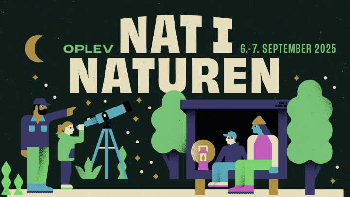 Nat i Naturen
